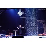 Люстра Елизавета в Кирове