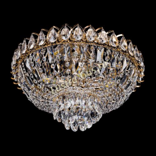 Люстра Астра Бутон в Кирове Гусь Хрустальный